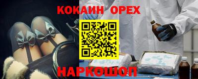 крисы Гагарин