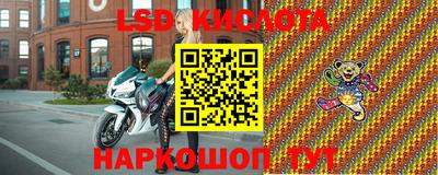 альфа пвп Гусев