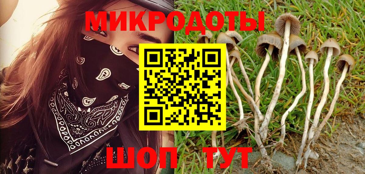 Галлюциногенные грибы Magic Shrooms Иркутск