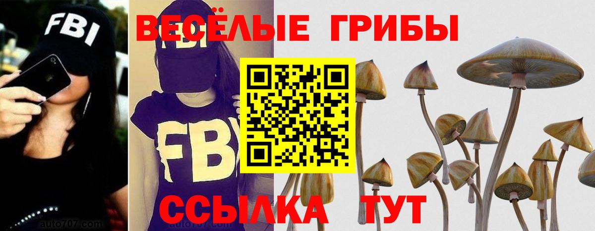 Иркутск  Псилоцибиновые грибы ЛСД  Вход с VPN 